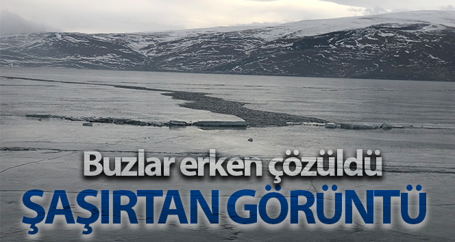 Çıldır Gölü’nde şaşırtan görüntü