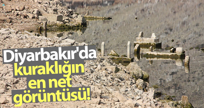 Diyarbakır’da kuraklığın en net görüntüsü ortaya çıktı