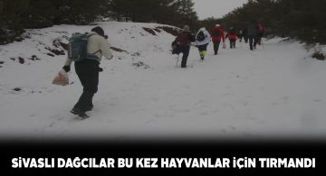 Doğa kulübü üyelerinin bu seferki tırmanışı hayvanlar içindi