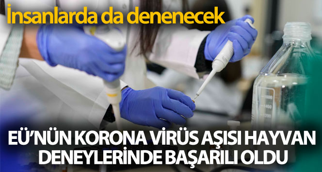 EÜ’nün corona virüs aşısı hayvan deneylerinde başarılı oldu