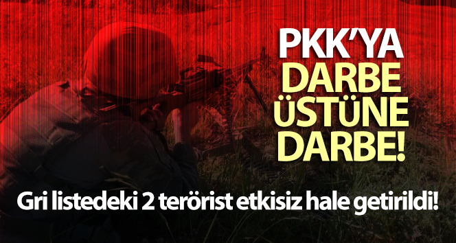 Gri listedeki 2 terörist etkisiz hale getirildi