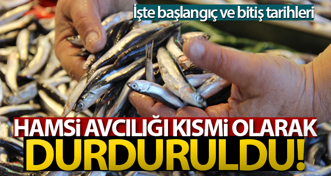 Hamsi avı kısmen durduruldu