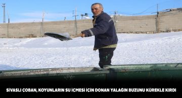 Sivas’ta soğuk havanın etkisi ile hayvan yalakları dondu