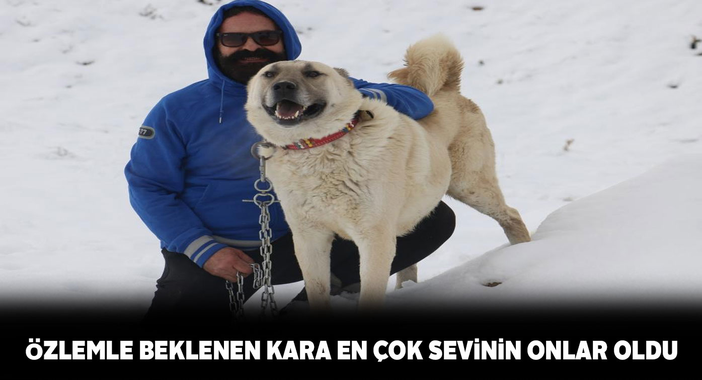 Sivas’ta yağan kara insanlar kadar hayvanlarda çok sevindi