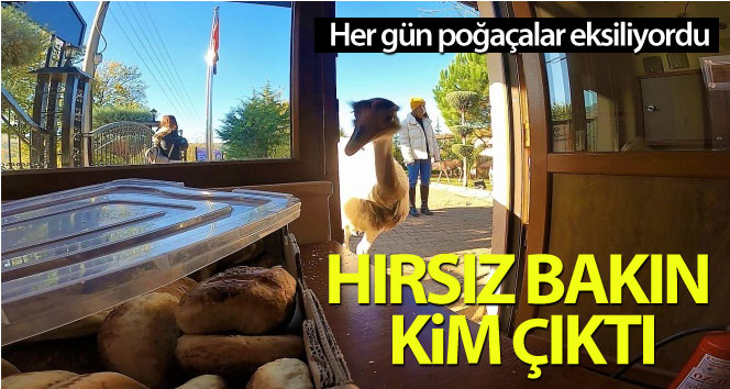 Her gün poğaçalar eksiliyordu, hırsız bakın kim çıktı