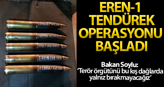 İçişleri Bakanlığı açıkladı! Eren-1 Tendürek operasyonu başladı