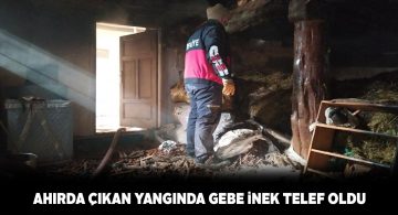 Gürün ilçesindeki bir ahırda çıkan yangında inek dumandan boğuldu