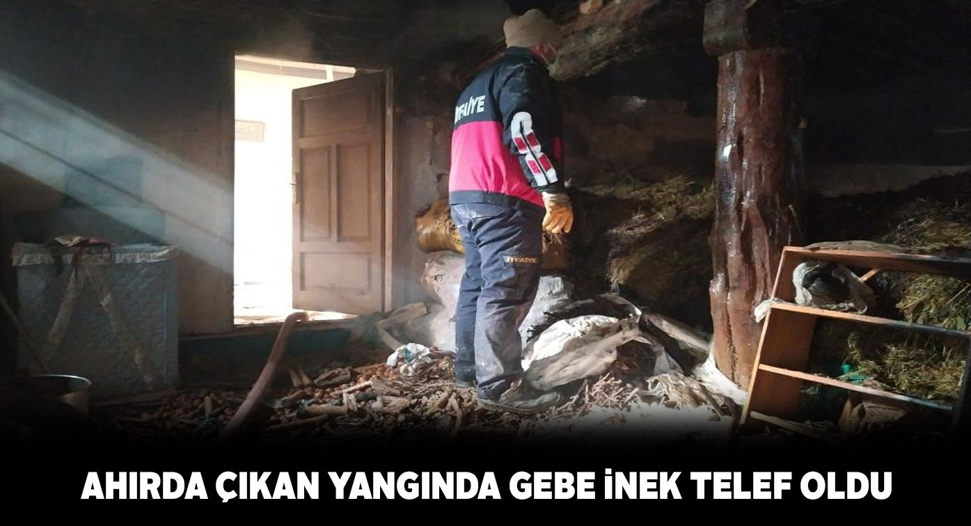 Gürün ilçesindeki bir ahırda çıkan yangında inek dumandan boğuldu