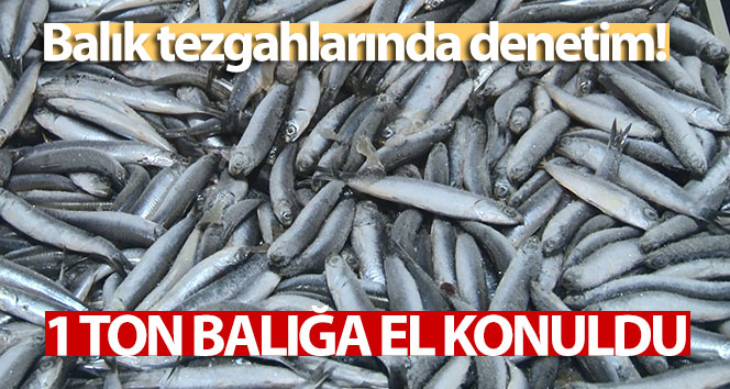İstanbul’da balık tezgâhları incelendi: 1 ton balık ele geçirildi