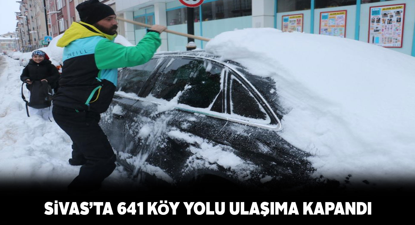 Yoğun kar yağışı ve tipi 641 köy yolunu ulaşıma kapattı