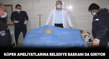 Divriği Belediye Başkanı köpekleri de ameliyat ediyor