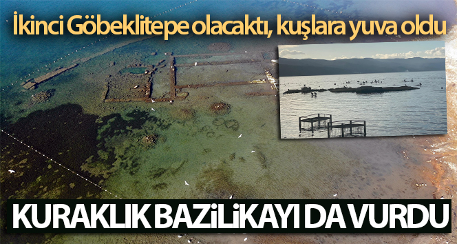 Kuraklık bazilikayı vurdu … İkinci Göbeklitepe olacaktı, kuşlar için yuva oldu