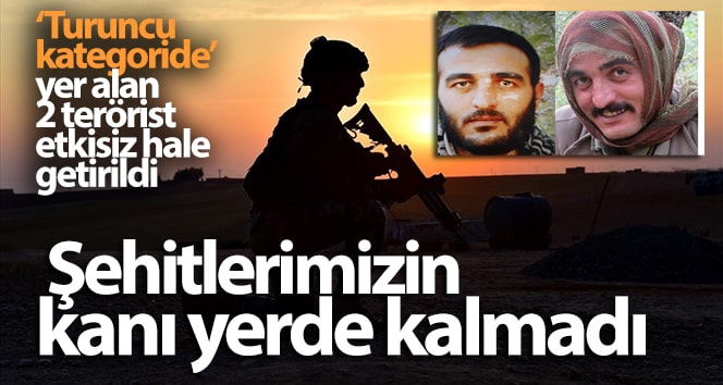 Şehitlerimizin kanı yerde kalmadı