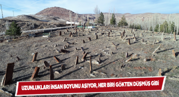 Sivas’ın Karayün köyündeki 400 yıllık mezar taşları dikkat çekiyor