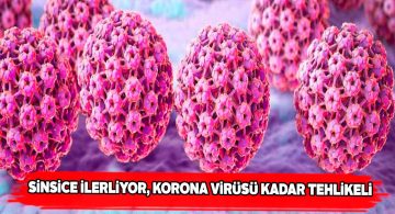 Kadınlar 21 yaşından sonra her yıl ‘Smear Testi’ yaptırmalı