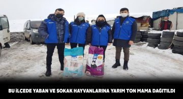 ‘Sokakta Birileri Var’ kampanyası ile sokak hayvanları unutulmadı