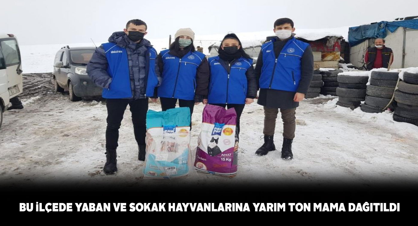 ‘Sokakta Birileri Var’ kampanyası ile sokak hayvanları unutulmadı