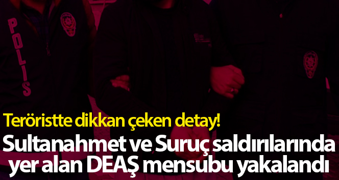 Sultanahmet ve Suruç saldırılarına karışan DEAŞ üyesi yakalandı