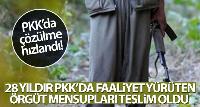 Terör örgütü PKK’da çözülme hızlandı! 5 örgüt mensubu ikna yoluyla teslim oldu