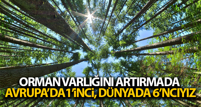 Türkiye orman varlığını artırmada Avrupa’da 1’inci, dünyada 6’ncı