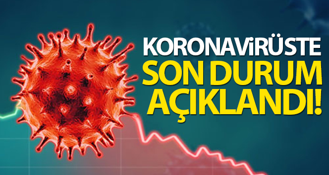 Türkiye’de son 24 saatte 6.435 koronavirüs vakası tespit edildi