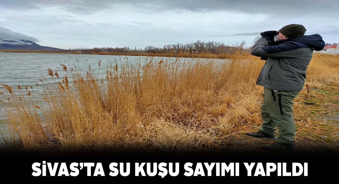 Ulaş ve Tödürge’de göl üzerindeki kuşlar sayıldı