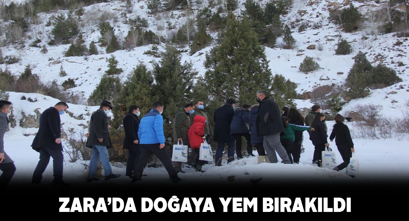 Zara Kaymakamlığının öncülüğünde yaban hayata yem bırakıldı