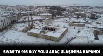 Yoğun şekilde yağan kar ile birlikte 916 köy yolu kapandı