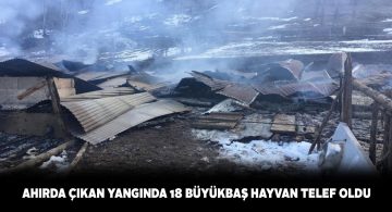 Koyulhisar ilçesindeki bir ahırda çıkan yangında 18 hayvan telef oldu
