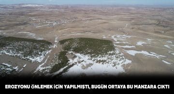 Bozkırın ortasındaki orman drone ile havadan görüntülendi