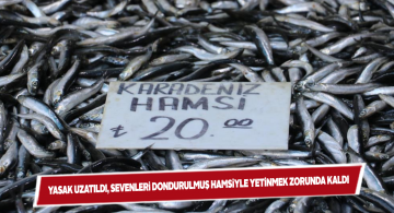 Denizlerde uzatılan av yasağı hamsi satışlarını vurdu