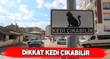 Sivas Belediyesi’nden ‘Dikkat Kedi Çıkabilir’ tabelası