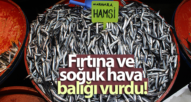 Fırtına ve soğuk hava balığı vurdu