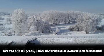 Kırağı Sivas’ı beyaza bürüdü, kartpostallık görüntüler oluştu