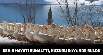 Sivaslı tekstilci şehirden bunaldı tekrar köyüne döndü