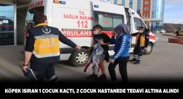 Sivas’ta sahibi olan bir köpek 3 çocuğu ısırdı