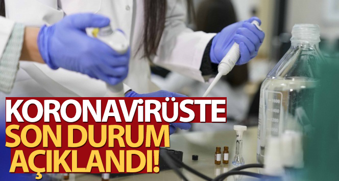 Türkiye’de son 24 saatte 7.906 koronavirüs vakası tespit edildi