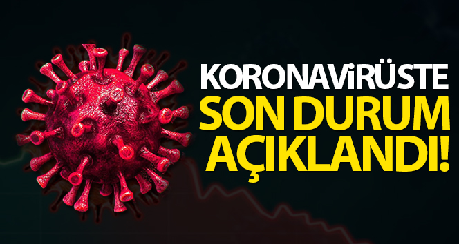 Türkiye’de son 24 saatte 7.909 koronavirüs vakası tespit edildi