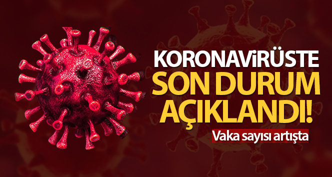 Türkiye’de son 24 saatte 9.572 koronavirüs vakası tespit edildi