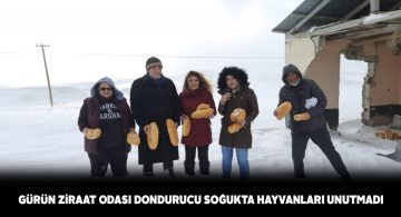 Ziraat Odası yaban hayvanlarını unutmadı