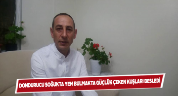 Sibirya soğuklarından dolayı yem bulamayan kuşları besliyor