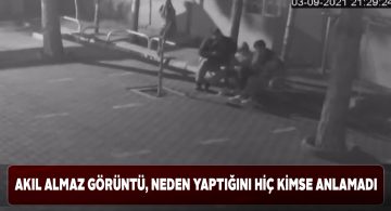 Ağaç fidanını kıran genç kızdan anlamsız davranışlar