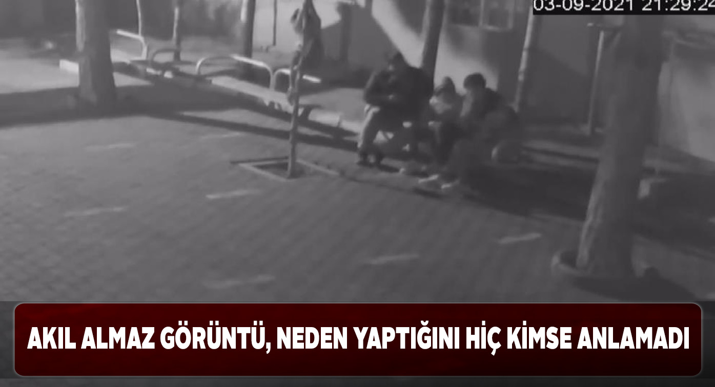 Ağaç fidanını kıran genç kızdan anlamsız davranışlar