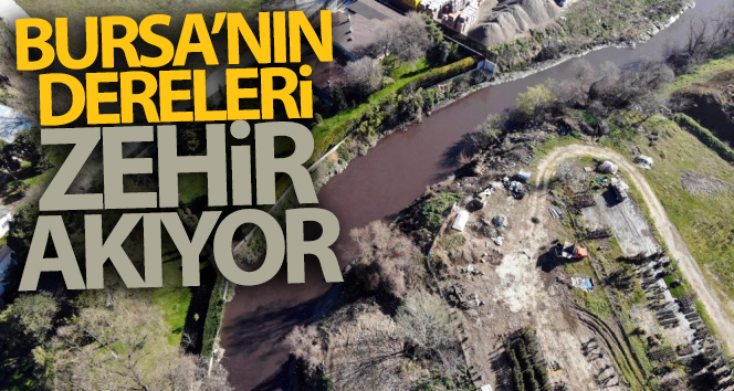 Bursa’nın dereleri zehir akıyor