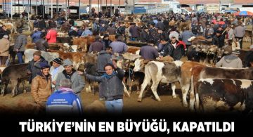 Şarkışla Canlı Hayvan Pazarı 2 hafta kapalı