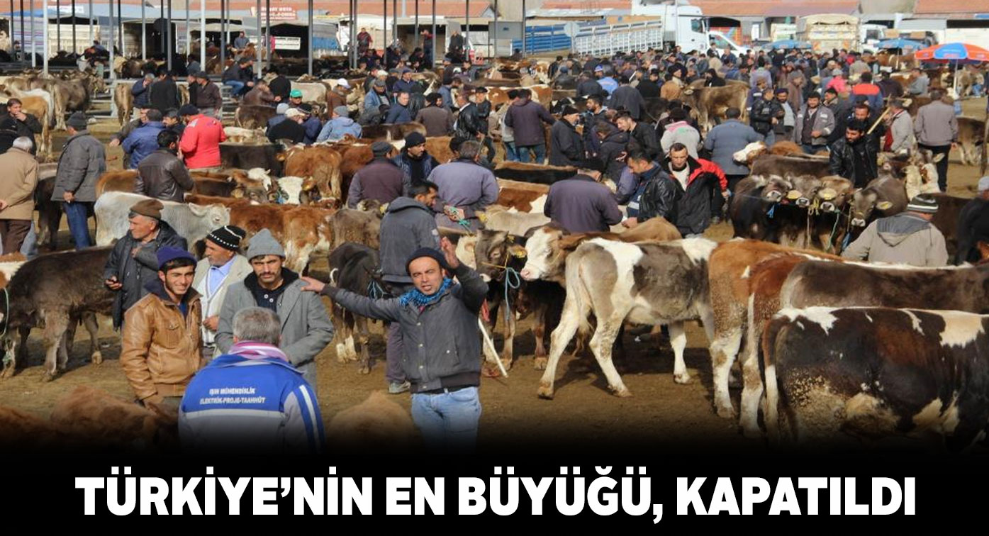 Şarkışla Canlı Hayvan Pazarı 2 hafta kapalı