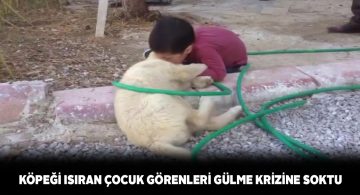 Küçük çocuk ile köpeğin oyunu herkesi güldürdü