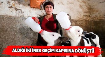 2 inekle başladı, kazandığı parayla çocuklarını okutuyor