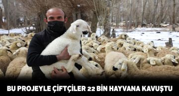 Devletten Sivaslı hayvan üreticilerine büyük destek