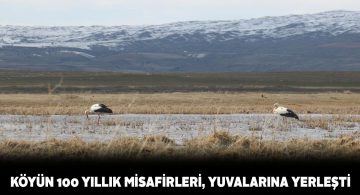 Göydün köyüne leylekler erken geldi